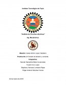 Análisis de circuitos eléctricos