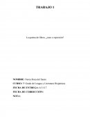 La quema de libros ¿cura o represión?