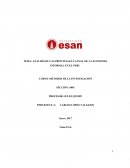 ANALISIS DE LAS PRINCIPALES CAUSAS DE LA ECONOMIA INFORMAL EN EL PERU