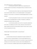 IDEAS PRINCIPALES DE LA TEORIA KEYNESIANA