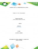 INTRODUCCION A LA MORFOFISIOLOGIA ANIMAL