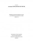 Actividad Actividad Conceptos tecnicos