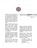 Programacion geometrica