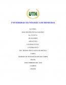 TRABAJO DE INVESTIGACION DE CAMPO