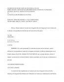 DEMANDA DE PAGO POR INCIDENTE DE INEJECUCIÓN DE SENTENCIA