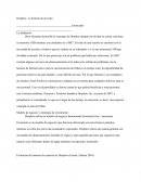 Modelo de negocio y estrategia de crecimiento