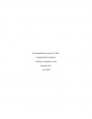 GESTION Y DESARROLLO LOCAL