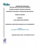 INGENIERÍA EN PROCESOS Y OPERACIONES INDUSTRIALES “MANEJO DE GRUPOS”