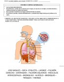 EXAMEN CORRESPONDIENTE AL TERCER BIMESTRE: CIENCIAS I ENFASIS EN BIOLOGIA