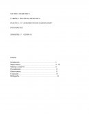PRACTICA: #1 “LINEAMIENTOS DE LABORATORIO”