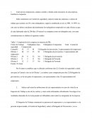 Comites de seguridad