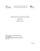 MERCADOTECNIA Y GESTION DE IMAGEN EVIDENCIA 2 DISEÑO DIGITAL