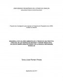 DESARROLLO DE VALORES AMBIENTALES A TRÁVES DE UNA PRÁCTICA CREATIVA, EN LOS GRUPOS DE SEGUNDO Y TERCER GRADO EN EL TALLER DE DISEÑO ARQUITECTÓNICO EN LA ESCUELA SECUNDARIA TÉCNICA #2