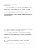 ENSAYO DECALOGO DEL ABOGADO