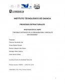 Enfoque sistemico de la organizacion: Chocolate mayordomo