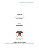 VALORACIÓN ECONÓMICA DE LOS COSTOS AMBIENTALES