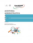 Auditoria administrativa administracion de PYMES