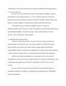 Determinación de los niveles de dirección de la empresa e identificación del equipo directivo