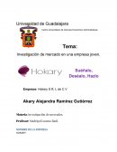 Investigación de mercados empresa artesanal HOKARY