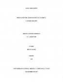 FASE 1 REFLEXIÓN PRESTACIÓN DEL SERVICIO SOCIAL UNADISTA