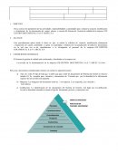 Aplicación de la norma iso 9001
