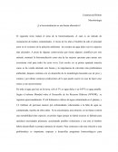 Microbiología ¿La biorremediación es una buena alternativa?
