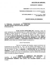 BUFETE JURÍDICO: ¨INTEGRACION JURIDICA¨. Página 1