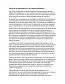 Visión de la organización y del campo profesional