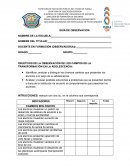 Guía observación adolescentes