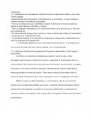 Presupuesto empresarial. Limitaciones de los presupuestos