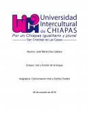 Uso y función de la lengua