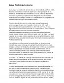 Breve Analisis del entorno Samsung