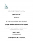 DOCUMENTAR UN PROBLEMA DE INVESTIGACIÓN