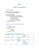 ORIGEN DE LOS HOMÍNIDOS ORIGEN DEL HOMBRE