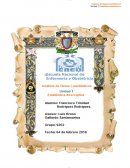 Analisis de datos cuantitativos actividad integradora 1