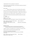 LABORATORIO III: CÉLULAS ANIMALES Y VEGETALES