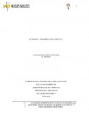 Desarrollo actividad de investigación de mercados