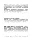 Sistema Ahorrador de Agua