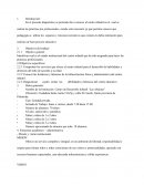 Dignostico.Identificar cual es el estado institucional del centro infantil que ha sido asignado para hacer las prácticas profesionales