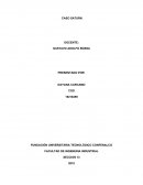 CASO SATURN HECHOS MÁS RELEVANTES DEL CASO SATURN