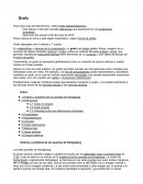 Los siete puentes de Königsberg