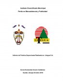Informe de Práctica Supervisada Realizada en: Litegua S.A.