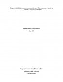 Administración de empresas Artículo científico