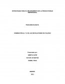 CASO PRACTICO ESTRATEGIAS PARA EL MEJORAMIENTO DE LA PRODUCTIVIDAD EMPRESARIAL