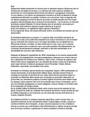 Guerra del chaco. El plan de Estigarribia