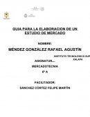 GUIA PARA LA ELABORACION DE UN ESTUDIO DE MERCADO