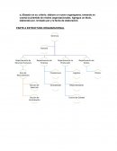 ¿Qué criterios o principios organizacionales usó?