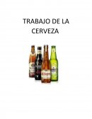 Trabajo de la cerveza en España