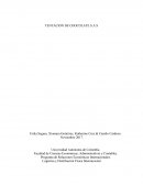 Taller finanzas internacional TENTACION DE CHOCOLATE S.A.S