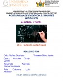 PORTAFOLIO DE EVIDENCIAS (APUNTES DIGITALES) ALGEBRA LINEAL